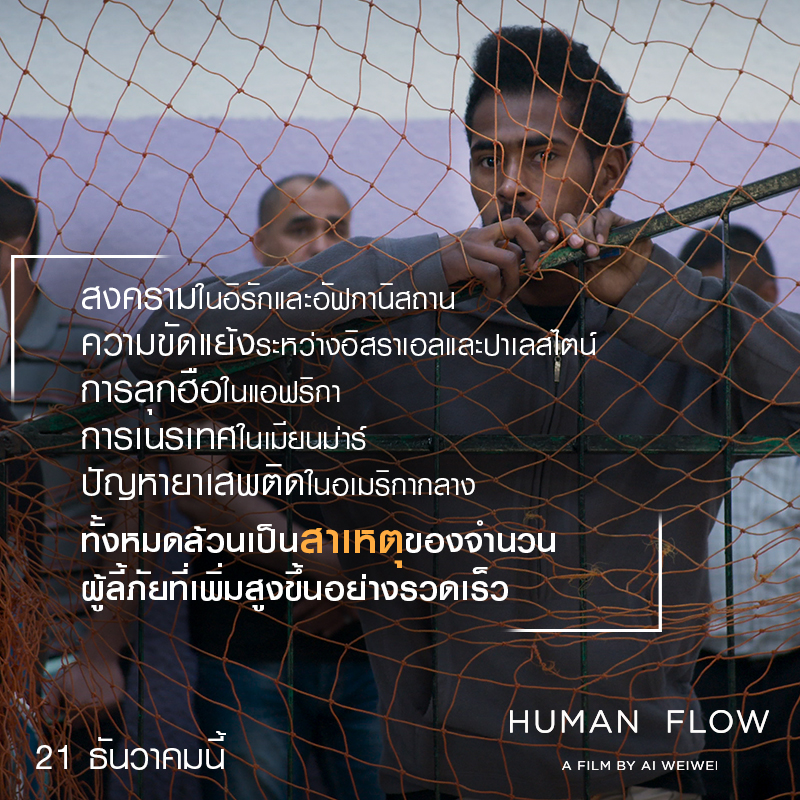Human-Flow-Info05