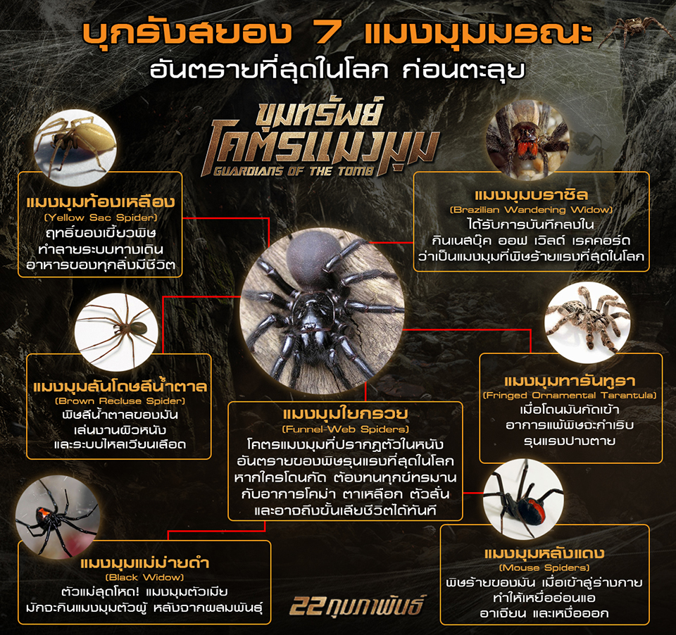 บุกรังสยอง 7 แมงมุมมรณะ อันตรายที่สุดในโลก ก่อนตะลุย “Guardians of the Tomb ขุมทรัพย์โคตรแมงมุม”