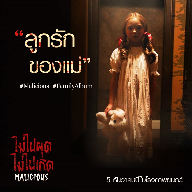 Malicious-Family-Album-Info02