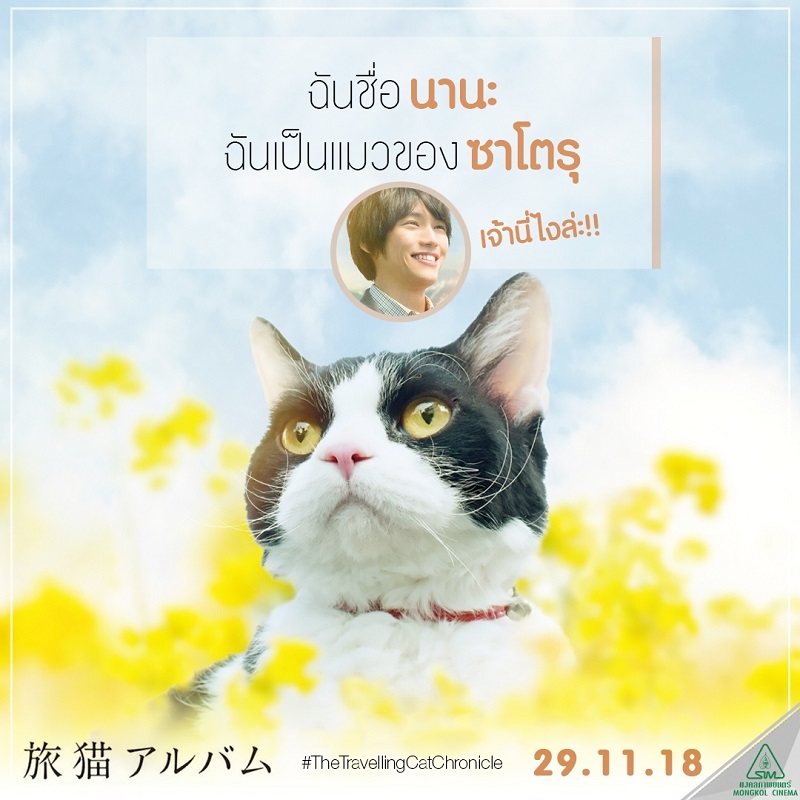 Travel-Cat-Chronicles-Cat-Nana-Say-Hi002
