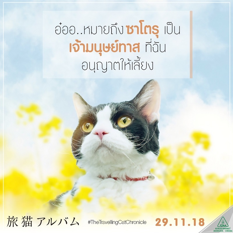 Travel-Cat-Chronicles-Cat-Nana-Say-Hi004