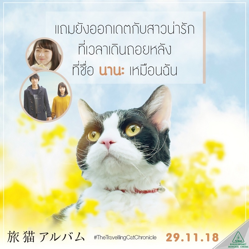 Travel-Cat-Chronicles-Cat-Nana-Say-Hi007