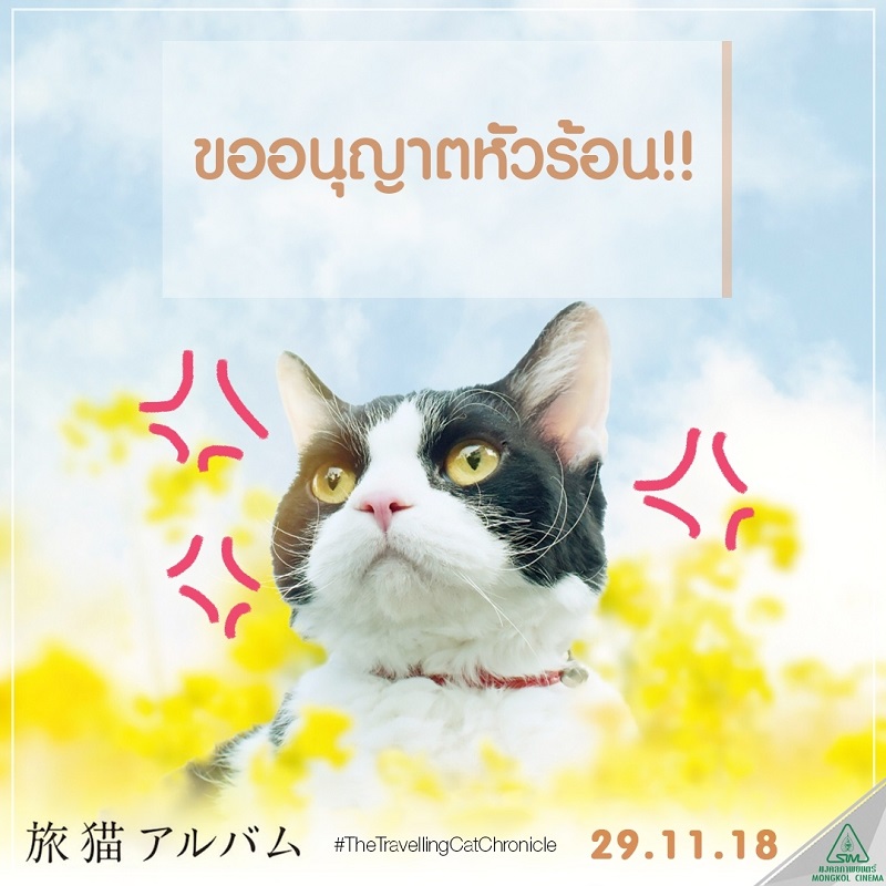 Travel-Cat-Chronicles-Cat-Nana-Say-Hi009