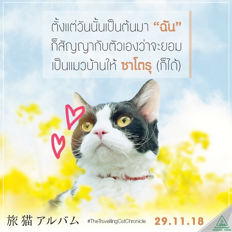 Travel-Cat-Chronicles-Cat-Nana-Say-Hi011
