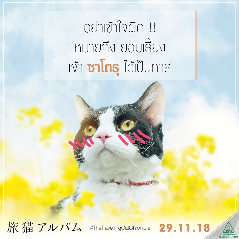 Travel-Cat-Chronicles-Cat-Nana-Say-Hi012