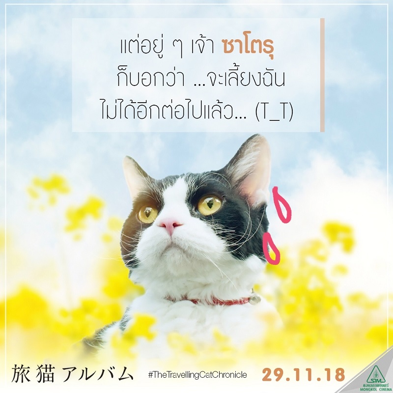 Travel-Cat-Chronicles-Cat-Nana-Say-Hi013