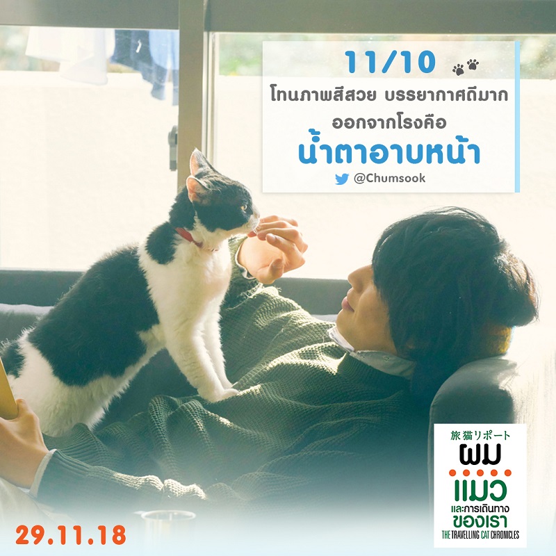 “The Travelling Cat Chronicles ผม แมว และการเดินทางของเรา” กระแสซึ้งโดนใจคนไทย เรียกน้ำตาคนดูท่วมโรง