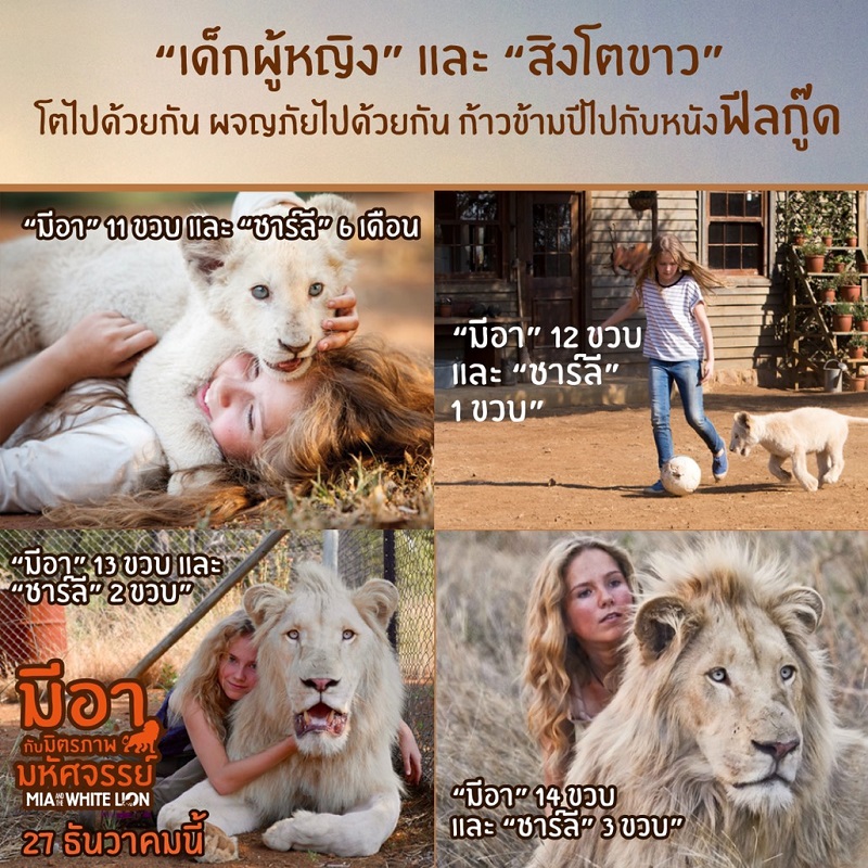 “เด็กผู้หญิง” และ “สิงโตขาว” โตด้วยกัน ผจญภัยด้วยกัน ในภาพยนตร์ฟีลกู๊ดก้าวข้ามปี “Mia and the White Lion มีอากับมิตรภาพมหัศจรรย์”