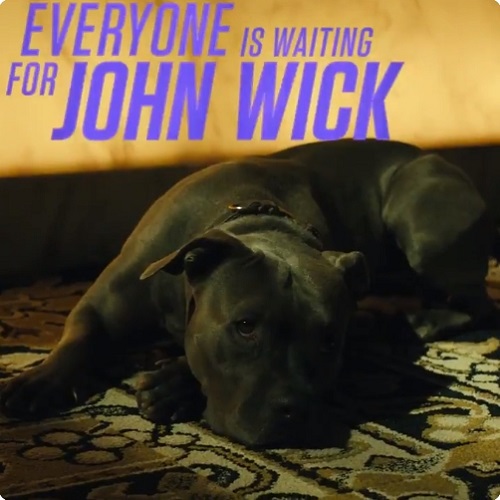 John-Wick3-Dog