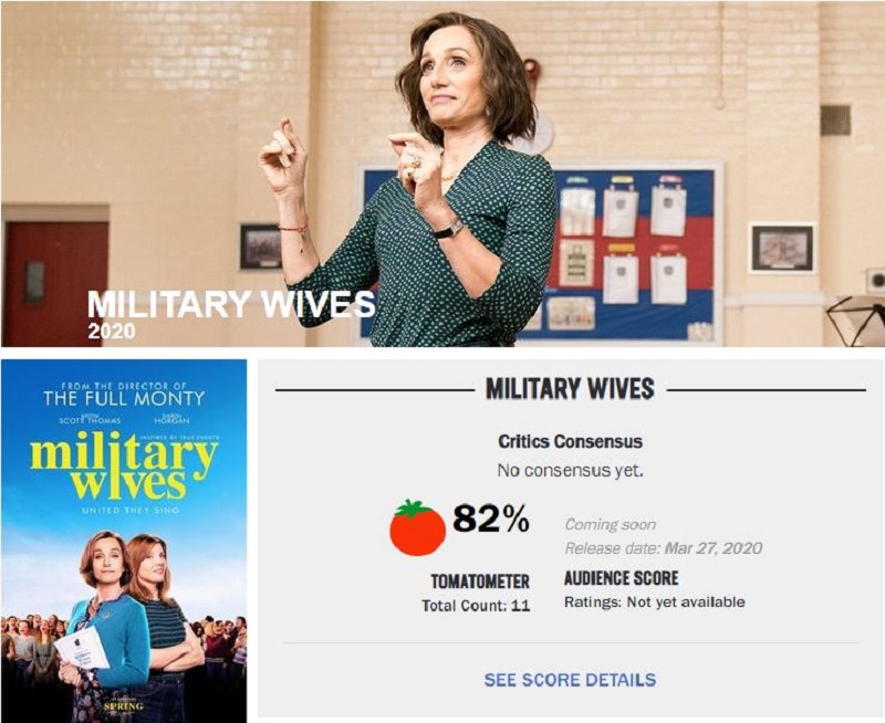 Military-Wives-Rotten-Tomatoes-Review