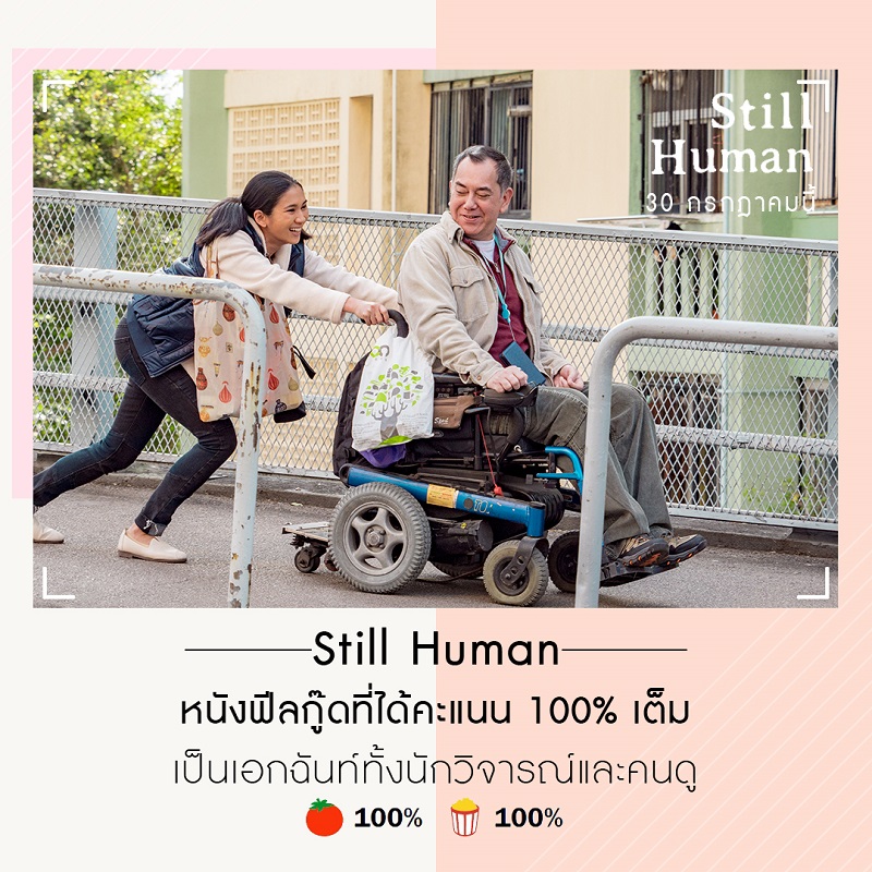 “Still Human” หนังฟีลกู๊ดที่ได้คะแนน 100% เต็มเป็นเอกฉันท์ทั้งนักวิจารณ์และคนดู รีวิวอินสุดประทับใจทั้งสื่อไทยและสื่อต่างประเทศ