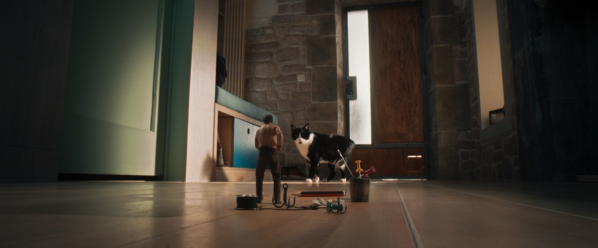 The Shrinking Man อัศจรรย์มนุษย์ย่อส่วน